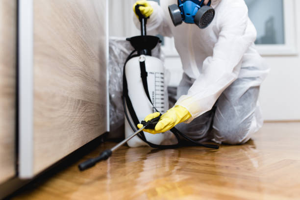 Best Termite Control Services  in Sauk Rapids, MN