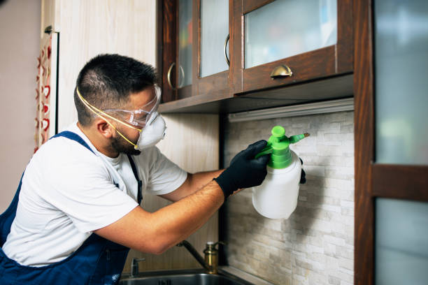 Best Exterminator Services  in Sauk Rapids, MN