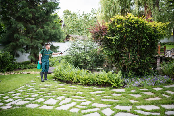 Best Pest Control Near Me  in Sauk Rapids, MN
