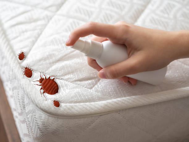 Best Pest Control Treatment  in Sauk Rapids, MN