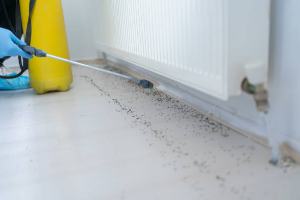 Best Residential Pest Control  in Sauk Rapids, MN