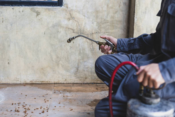 Best Rat Extermination Near Me  in Sauk Rapids, MN